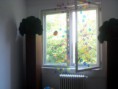 /album/galerie-foto/img096-jpg/